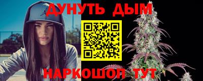 молекула духа Будённовск