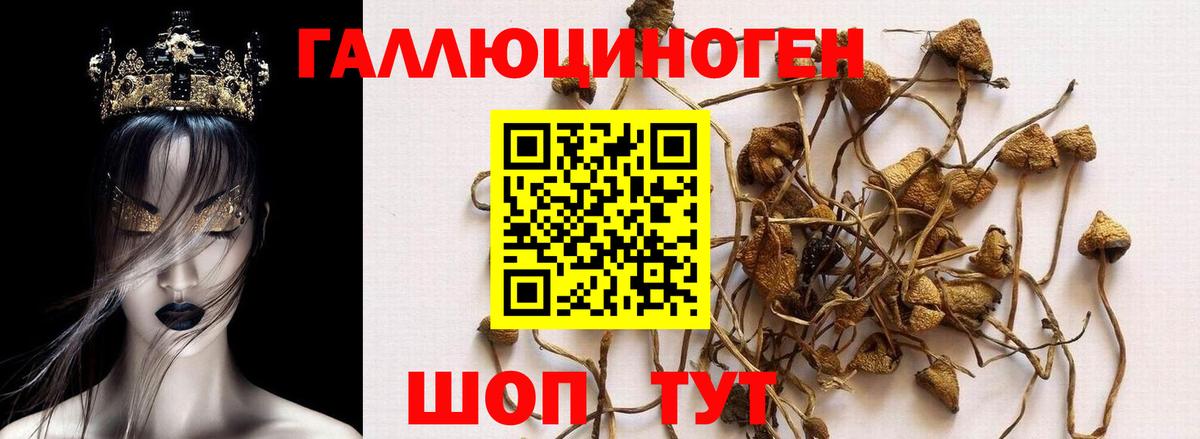 Новокубанск  Псилоцибиновые грибы мухоморы  Псилоцибиновые грибы MAGIC MUSHROOMS  Вход с VPN 